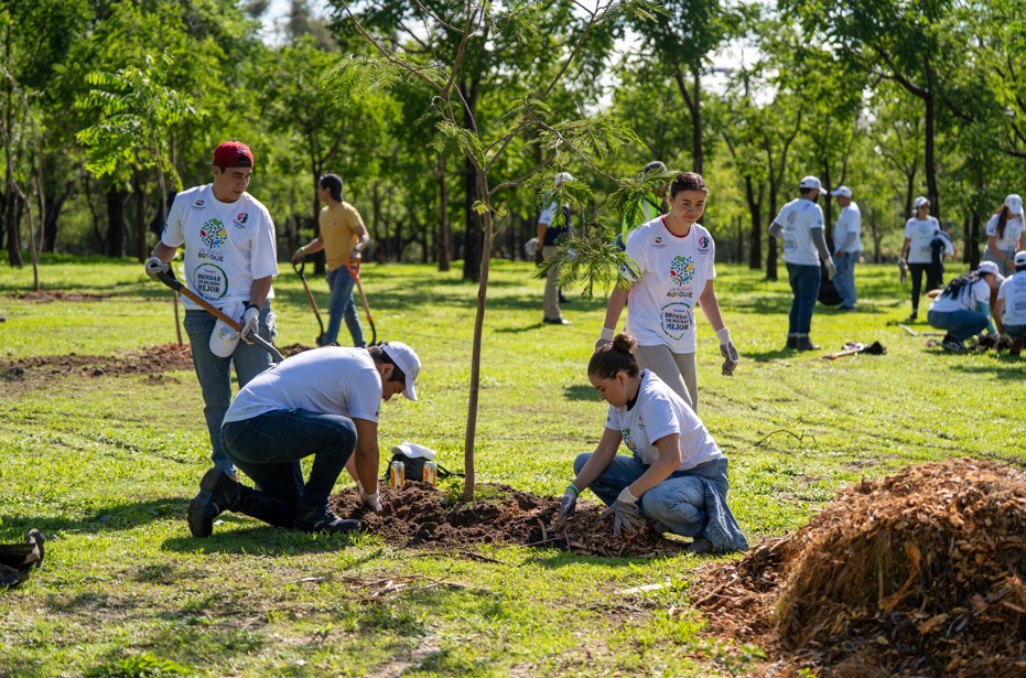 heineken-mexico-y-fundacion-azteca-inician-por-tercer-ano-consecutivo-jornadas-de-reforestacion-imagen-2.jpeg