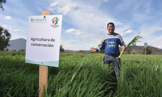 HEINEKEN México apuesta por una producción de cebada 100% sustentable