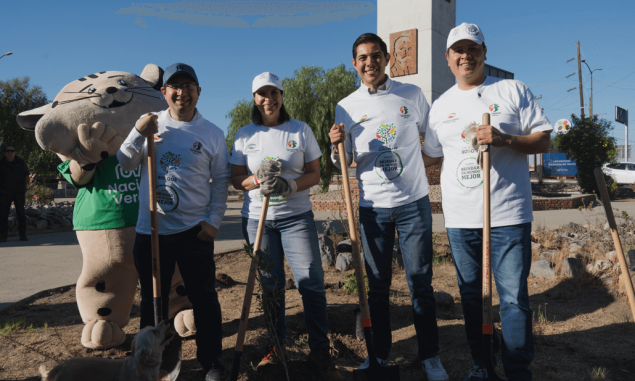 Reforestan 522 árboles y plantas arbustivas en la orilla del Río Tecate, en Baja California