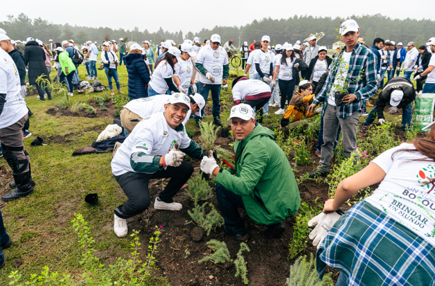 HEINEKEN México y Fundación Azteca cierran con éxito 10 jornadas de reforestación con más de 12,500 árboles y plantas nativas.