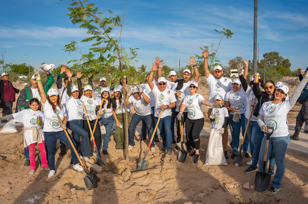 Reforestan 500 árboles en el Centro Deportivo Municipal “El Piojillo”, ubicado en La Paz, Baja California Sur