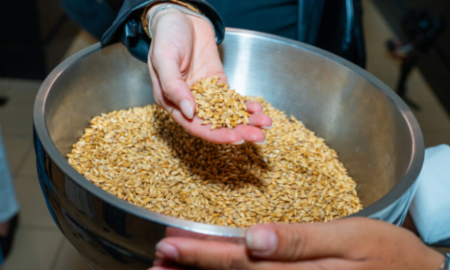 El poder de la malta: el grano que define lo que significa una cerveza de calidad