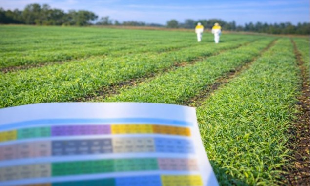 Los emprendimientos en México impulsan la economía del país: representan el 99.2% de las unidades económicas